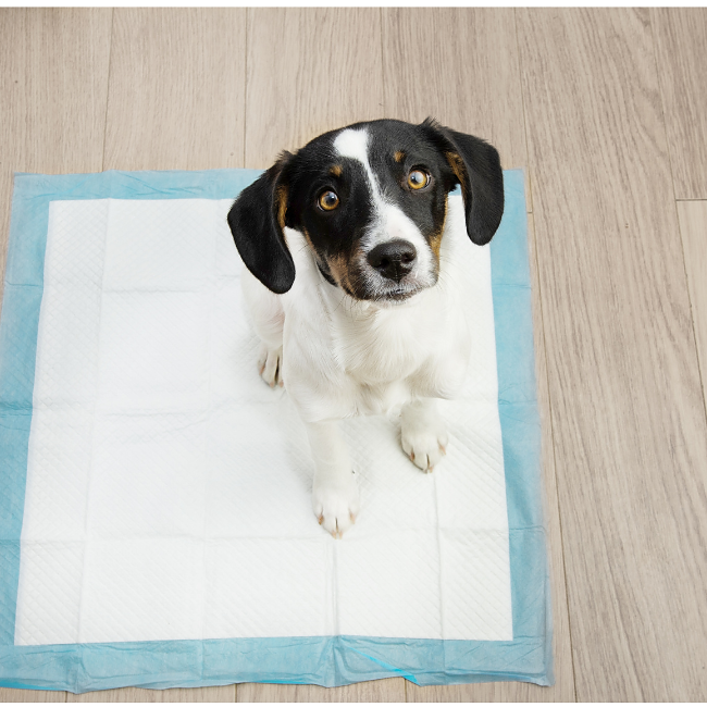 Puppy Training Pads