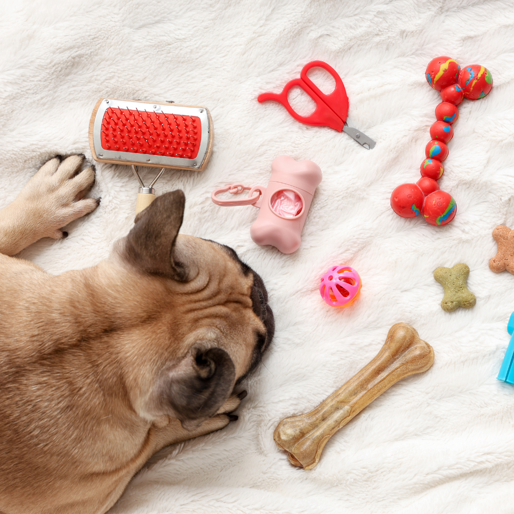 Puppy Comfort Toy